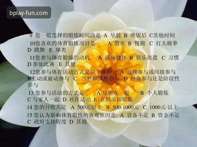 揭秘B体育官方网址对比：2026新版登录入口背后的真相